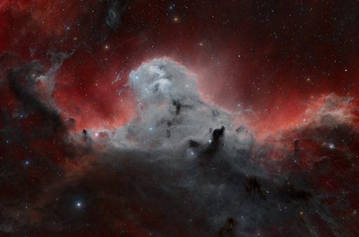 The Shaggy Dog Nebula