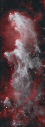 The Witch Head Nebula — a tall wisp of pale reflection nebulosity in profile against a red-brown star field